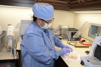 Christine Goodwin, a resident in the Northwest Dental Residency Program, pulls a stone denture model from an impression at the Toppenish Medical-Dental Clinic.